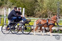 115 A DB 0378    © Daniela und Christian Bittner u.a.    Alle Inhalte auf diesen Webseiten sind urheberrechtlich geschützt. Kein Teil der hier abrufbaren Inhalte darf ohne ausdrückliche schriftliche Erlaubnis des Fotografen reproduziert, gedruckt, übersetzt, in digitaler Form weiterbearbeitet, in Archive übernommen oder Dritten unter einer fremden URL zugänglich gemacht werden.   Fotografen: AE .. A. Esdar, AH .. A. Helmle, CB .. Chr. Bittner, DB .. D. Bittner, LB .. L. Bittner, BB .. B. Boschatzke,   HZ .. H. Ziegelbauer, IM .. I. Maierhöfer, KH .. K. Hauber, LE .. L. Esdar, ME .. M. Esdar, MEr .. M. Erhard,   RM .. R. Maierhöfer, SD .. S. Demchuk, TS .. T. Spaag-Wagner, UL .. U. Ladenburger, JW .. J. Wecker, EB .. E. Boschatzke,   JA .. J. Abele, MW .. Maria Walter, MB .. Manuel Bühler, GG .. Georg Gösele, CBa .. Christoph Bayrle, KZW .. Kathrin Zwerger, PG .. Peter Gösele, CME .. Carmen Müller-Epacher, GB .. Gebhard Bühler, AL .. Alisha Ladenburger, SV .. Susanne Habel-Veit.