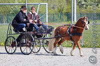 117 A DB 0383    © Daniela und Christian Bittner u.a.    Alle Inhalte auf diesen Webseiten sind urheberrechtlich geschützt. Kein Teil der hier abrufbaren Inhalte darf ohne ausdrückliche schriftliche Erlaubnis des Fotografen reproduziert, gedruckt, übersetzt, in digitaler Form weiterbearbeitet, in Archive übernommen oder Dritten unter einer fremden URL zugänglich gemacht werden.   Fotografen: AE .. A. Esdar, AH .. A. Helmle, CB .. Chr. Bittner, DB .. D. Bittner, LB .. L. Bittner, BB .. B. Boschatzke,   HZ .. H. Ziegelbauer, IM .. I. Maierhöfer, KH .. K. Hauber, LE .. L. Esdar, ME .. M. Esdar, MEr .. M. Erhard,   RM .. R. Maierhöfer, SD .. S. Demchuk, TS .. T. Spaag-Wagner, UL .. U. Ladenburger, JW .. J. Wecker, EB .. E. Boschatzke,   JA .. J. Abele, MW .. Maria Walter, MB .. Manuel Bühler, GG .. Georg Gösele, CBa .. Christoph Bayrle, KZW .. Kathrin Zwerger, PG .. Peter Gösele, CME .. Carmen Müller-Epacher, GB .. Gebhard Bühler, AL .. Alisha Ladenburger, SV .. Susanne Habel-Veit.
