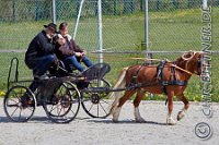 127 A DB 0433    © Daniela und Christian Bittner u.a.    Alle Inhalte auf diesen Webseiten sind urheberrechtlich geschützt. Kein Teil der hier abrufbaren Inhalte darf ohne ausdrückliche schriftliche Erlaubnis des Fotografen reproduziert, gedruckt, übersetzt, in digitaler Form weiterbearbeitet, in Archive übernommen oder Dritten unter einer fremden URL zugänglich gemacht werden.   Fotografen: AE .. A. Esdar, AH .. A. Helmle, CB .. Chr. Bittner, DB .. D. Bittner, LB .. L. Bittner, BB .. B. Boschatzke,   HZ .. H. Ziegelbauer, IM .. I. Maierhöfer, KH .. K. Hauber, LE .. L. Esdar, ME .. M. Esdar, MEr .. M. Erhard,   RM .. R. Maierhöfer, SD .. S. Demchuk, TS .. T. Spaag-Wagner, UL .. U. Ladenburger, JW .. J. Wecker, EB .. E. Boschatzke,   JA .. J. Abele, MW .. Maria Walter, MB .. Manuel Bühler, GG .. Georg Gösele, CBa .. Christoph Bayrle.