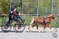 129 A DB 0437    © Daniela und Christian Bittner u.a.    Alle Inhalte auf diesen Webseiten sind urheberrechtlich geschützt. Kein Teil der hier abrufbaren Inhalte darf ohne ausdrückliche schriftliche Erlaubnis des Fotografen reproduziert, gedruckt, übersetzt, in digitaler Form weiterbearbeitet, in Archive übernommen oder Dritten unter einer fremden URL zugänglich gemacht werden.   Fotografen: AE .. A. Esdar, AH .. A. Helmle, CB .. Chr. Bittner, DB .. D. Bittner, LB .. L. Bittner, BB .. B. Boschatzke,   HZ .. H. Ziegelbauer, IM .. I. Maierhöfer, KH .. K. Hauber, LE .. L. Esdar, ME .. M. Esdar, MEr .. M. Erhard,   RM .. R. Maierhöfer, SD .. S. Demchuk, TS .. T. Spaag-Wagner, UL .. U. Ladenburger, JW .. J. Wecker, EB .. E. Boschatzke,   JA .. J. Abele, MW .. Maria Walter, MB .. Manuel Bühler, GG .. Georg Gösele, CBa .. Christoph Bayrle, KZW .. Kathrin Zwerger, PG .. Peter Gösele, CME .. Carmen Müller-Epacher, GB .. Gebhard Bühler, AL .. Alisha Ladenburger, SV .. Susanne Habel-Veit.