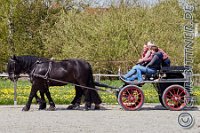 185 A DB 0713    © Daniela und Christian Bittner u.a.    Alle Inhalte auf diesen Webseiten sind urheberrechtlich geschützt. Kein Teil der hier abrufbaren Inhalte darf ohne ausdrückliche schriftliche Erlaubnis des Fotografen reproduziert, gedruckt, übersetzt, in digitaler Form weiterbearbeitet, in Archive übernommen oder Dritten unter einer fremden URL zugänglich gemacht werden.   Fotografen: AE .. A. Esdar, AH .. A. Helmle, CB .. Chr. Bittner, DB .. D. Bittner, LB .. L. Bittner, BB .. B. Boschatzke,   HZ .. H. Ziegelbauer, IM .. I. Maierhöfer, KH .. K. Hauber, LE .. L. Esdar, ME .. M. Esdar, MEr .. M. Erhard,   RM .. R. Maierhöfer, SD .. S. Demchuk, TS .. T. Spaag-Wagner, UL .. U. Ladenburger, JW .. J. Wecker, EB .. E. Boschatzke,   JA .. J. Abele, MW .. Maria Walter, MB .. Manuel Bühler, GG .. Georg Gösele, CBa .. Christoph Bayrle, KZW .. Kathrin Zwerger, PG .. Peter Gösele, CME .. Carmen Müller-Epacher, GB .. Gebhard Bühler, AL .. Alisha Ladenburger, SV .. Susanne Habel-Veit.