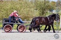 199 A DB 0764    © Daniela und Christian Bittner u.a.    Alle Inhalte auf diesen Webseiten sind urheberrechtlich geschützt. Kein Teil der hier abrufbaren Inhalte darf ohne ausdrückliche schriftliche Erlaubnis des Fotografen reproduziert, gedruckt, übersetzt, in digitaler Form weiterbearbeitet, in Archive übernommen oder Dritten unter einer fremden URL zugänglich gemacht werden.   Fotografen: AE .. A. Esdar, AH .. A. Helmle, CB .. Chr. Bittner, DB .. D. Bittner, LB .. L. Bittner, BB .. B. Boschatzke,   HZ .. H. Ziegelbauer, IM .. I. Maierhöfer, KH .. K. Hauber, LE .. L. Esdar, ME .. M. Esdar, MEr .. M. Erhard,   RM .. R. Maierhöfer, SD .. S. Demchuk, TS .. T. Spaag-Wagner, UL .. U. Ladenburger, JW .. J. Wecker, EB .. E. Boschatzke,   JA .. J. Abele, MW .. Maria Walter, MB .. Manuel Bühler, GG .. Georg Gösele, CBa .. Christoph Bayrle, KZW .. Kathrin Zwerger, PG .. Peter Gösele, CME .. Carmen Müller-Epacher, GB .. Gebhard Bühler, AL .. Alisha Ladenburger, SV .. Susanne Habel-Veit.