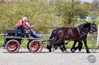 199 A DB 0764    © Daniela und Christian Bittner u.a.    Alle Inhalte auf diesen Webseiten sind urheberrechtlich geschützt. Kein Teil der hier abrufbaren Inhalte darf ohne ausdrückliche schriftliche Erlaubnis des Fotografen reproduziert, gedruckt, übersetzt, in digitaler Form weiterbearbeitet, in Archive übernommen oder Dritten unter einer fremden URL zugänglich gemacht werden.   Fotografen: AE .. A. Esdar, AH .. A. Helmle, CB .. Chr. Bittner, DB .. D. Bittner, LB .. L. Bittner, BB .. B. Boschatzke,   HZ .. H. Ziegelbauer, IM .. I. Maierhöfer, KH .. K. Hauber, LE .. L. Esdar, ME .. M. Esdar, MEr .. M. Erhard,   RM .. R. Maierhöfer, SD .. S. Demchuk, TS .. T. Spaag-Wagner, UL .. U. Ladenburger, JW .. J. Wecker, EB .. E. Boschatzke,   JA .. J. Abele, MW .. Maria Walter, MB .. Manuel Bühler, GG .. Georg Gösele, CBa .. Christoph Bayrle.