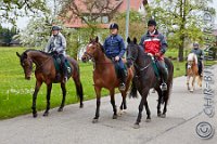 179 A CB 223    © Daniela und Christian Bittner u.a.    Alle Inhalte auf diesen Webseiten sind urheberrechtlich geschützt. Kein Teil der hier abrufbaren Inhalte darf ohne ausdrückliche schriftliche Erlaubnis des Fotografen reproduziert, gedruckt, übersetzt, in digitaler Form weiterbearbeitet, in Archive übernommen oder Dritten unter einer fremden URL zugänglich gemacht werden.   Fotografen: AE .. A. Esdar, AH .. A. Helmle, CB .. Chr. Bittner, DB .. D. Bittner, LB .. L. Bittner, BB .. B. Boschatzke,   HZ .. H. Ziegelbauer, IM .. I. Maierhöfer, KH .. K. Hauber, LE .. L. Esdar, ME .. M. Esdar, MEr .. M. Erhard,   RM .. R. Maierhöfer, SD .. S. Demchuk, TS .. T. Spaag-Wagner, UL .. U. Ladenburger, JW .. J. Wecker, EB .. E. Boschatzke,   JA .. J. Abele, MW .. Maria Walter, MB .. Manuel Bühler, GG .. Georg Gösele, CBa .. Christoph Bayrle, KZW .. Kathrin Zwerger, PG .. Peter Gösele, CME .. Carmen Müller-Epacher, GB .. Gebhard Bühler, AL .. Alisha Ladenburger, SV .. Susanne Habel-Veit.