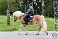 191 A CB 271    © Daniela und Christian Bittner u.a.    Alle Inhalte auf diesen Webseiten sind urheberrechtlich geschützt. Kein Teil der hier abrufbaren Inhalte darf ohne ausdrückliche schriftliche Erlaubnis des Fotografen reproduziert, gedruckt, übersetzt, in digitaler Form weiterbearbeitet, in Archive übernommen oder Dritten unter einer fremden URL zugänglich gemacht werden.   Fotografen: AE .. A. Esdar, AH .. A. Helmle, CB .. Chr. Bittner, DB .. D. Bittner, LB .. L. Bittner, BB .. B. Boschatzke,   HZ .. H. Ziegelbauer, IM .. I. Maierhöfer, KH .. K. Hauber, LE .. L. Esdar, ME .. M. Esdar, MEr .. M. Erhard,   RM .. R. Maierhöfer, SD .. S. Demchuk, TS .. T. Spaag-Wagner, UL .. U. Ladenburger, JW .. J. Wecker, EB .. E. Boschatzke,   JA .. J. Abele, MW .. Maria Walter, MB .. Manuel Bühler, GG .. Georg Gösele, CBa .. Christoph Bayrle, KZW .. Kathrin Zwerger, PG .. Peter Gösele, CME .. Carmen Müller-Epacher, GB .. Gebhard Bühler, AL .. Alisha Ladenburger, SV .. Susanne Habel-Veit.