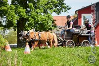 204 A CB 0740    © Daniela und Christian Bittner u.a.    Alle Inhalte auf diesen Webseiten sind urheberrechtlich geschützt. Kein Teil der hier abrufbaren Inhalte darf ohne ausdrückliche schriftliche Erlaubnis des Fotografen reproduziert, gedruckt, übersetzt, in digitaler Form weiterbearbeitet, in Archive übernommen oder Dritten unter einer fremden URL zugänglich gemacht werden.   Fotografen: AE .. A. Esdar, AH .. A. Helmle, CB .. Chr. Bittner, DB .. D. Bittner, LB .. L. Bittner, BB .. B. Boschatzke,   HZ .. H. Ziegelbauer, IM .. I. Maierhöfer, KH .. K. Hauber, LE .. L. Esdar, ME .. M. Esdar, MEr .. M. Erhard,   RM .. R. Maierhöfer, SD .. S. Demchuk, TS .. T. Spaag-Wagner, UL .. U. Ladenburger, JW .. J. Wecker, EB .. E. Boschatzke,   JA .. J. Abele, MW .. Maria Walter, MB .. Manuel Bühler, GG .. Georg Gösele, CBa .. Christoph Bayrle, KZW .. Kathrin Zwerger, PG .. Peter Gösele, CME .. Carmen Müller-Epacher, GB .. Gebhard Bühler, AL .. Alisha Ladenburger, SV .. Susanne Habel-Veit.