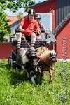 214 A CB 0766    © Daniela und Christian Bittner u.a.    Alle Inhalte auf diesen Webseiten sind urheberrechtlich geschützt. Kein Teil der hier abrufbaren Inhalte darf ohne ausdrückliche schriftliche Erlaubnis des Fotografen reproduziert, gedruckt, übersetzt, in digitaler Form weiterbearbeitet, in Archive übernommen oder Dritten unter einer fremden URL zugänglich gemacht werden.   Fotografen: AE .. A. Esdar, AH .. A. Helmle, CB .. Chr. Bittner, DB .. D. Bittner, LB .. L. Bittner, BB .. B. Boschatzke,   HZ .. H. Ziegelbauer, IM .. I. Maierhöfer, KH .. K. Hauber, LE .. L. Esdar, ME .. M. Esdar, MEr .. M. Erhard,   RM .. R. Maierhöfer, SD .. S. Demchuk, TS .. T. Spaag-Wagner, UL .. U. Ladenburger, JW .. J. Wecker, EB .. E. Boschatzke,   JA .. J. Abele, MW .. Maria Walter, MB .. Manuel Bühler, GG .. Georg Gösele, CBa .. Christoph Bayrle, KZW .. Kathrin Zwerger, PG .. Peter Gösele, CME .. Carmen Müller-Epacher, GB .. Gebhard Bühler, AL .. Alisha Ladenburger, SV .. Susanne Habel-Veit.