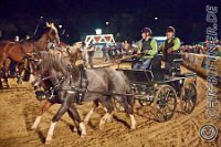 181 D CB 0570    © Daniela und Christian Bittner u.a.    Alle Inhalte auf diesen Webseiten sind urheberrechtlich geschützt. Kein Teil der hier abrufbaren Inhalte darf ohne ausdrückliche schriftliche Erlaubnis des Fotografen reproduziert, gedruckt, übersetzt, in digitaler Form weiterbearbeitet, in Archive übernommen oder Dritten unter einer fremden URL zugänglich gemacht werden.   Fotografen: AE .. A. Esdar, AH .. A. Helmle, CB .. Chr. Bittner, DB .. D. Bittner, LB .. L. Bittner, BB .. B. Boschatzke,   HZ .. H. Ziegelbauer, IM .. I. Maierhöfer, KH .. K. Hauber, LE .. L. Esdar, ME .. M. Esdar, MEr .. M. Erhard,   RM .. R. Maierhöfer, SD .. S. Demchuk, TS .. T. Spaag-Wagner, UL .. U. Ladenburger, JW .. J. Wecker, EB .. E. Boschatzke,   JA .. J. Abele, MW .. Maria Walter, MB .. Manuel Bühler, GG .. Georg Gösele, CBa .. Christoph Bayrle, KZW .. Kathrin Zwerger, PG .. Peter Gösele, CME .. Carmen Müller-Epacher, GB .. Gebhard Bühler, AL .. Alisha Ladenburger, SV .. Susanne Habel-Veit.