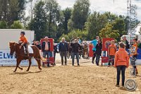 219 A DB 0846    © Daniela und Christian Bittner u.a.    Alle Inhalte auf diesen Webseiten sind urheberrechtlich geschützt. Kein Teil der hier abrufbaren Inhalte darf ohne ausdrückliche schriftliche Erlaubnis des Fotografen reproduziert, gedruckt, übersetzt, in digitaler Form weiterbearbeitet, in Archive übernommen oder Dritten unter einer fremden URL zugänglich gemacht werden.   Fotografen: AE .. A. Esdar, AH .. A. Helmle, CB .. Chr. Bittner, DB .. D. Bittner, LB .. L. Bittner, BB .. B. Boschatzke,   HZ .. H. Ziegelbauer, IM .. I. Maierhöfer, KH .. K. Hauber, LE .. L. Esdar, ME .. M. Esdar, MEr .. M. Erhard,   RM .. R. Maierhöfer, SD .. S. Demchuk, TS .. T. Spaag-Wagner, UL .. U. Ladenburger, JW .. J. Wecker, EB .. E. Boschatzke,   JA .. J. Abele, MW .. Maria Walter, MB .. Manuel Bühler, GG .. Georg Gösele, CBa .. Christoph Bayrle, KZW .. Kathrin Zwerger, PG .. Peter Gösele, CME .. Carmen Müller-Epacher, GB .. Gebhard Bühler, AL .. Alisha Ladenburger, SV .. Susanne Habel-Veit, LV .. Lukas Veit.