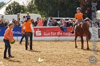 231 A DB 0859    © Daniela und Christian Bittner u.a.    Alle Inhalte auf diesen Webseiten sind urheberrechtlich geschützt. Kein Teil der hier abrufbaren Inhalte darf ohne ausdrückliche schriftliche Erlaubnis des Fotografen reproduziert, gedruckt, übersetzt, in digitaler Form weiterbearbeitet, in Archive übernommen oder Dritten unter einer fremden URL zugänglich gemacht werden.   Fotografen: AE .. A. Esdar, AH .. A. Helmle, CB .. Chr. Bittner, DB .. D. Bittner, LB .. L. Bittner, BB .. B. Boschatzke,   HZ .. H. Ziegelbauer, IM .. I. Maierhöfer, KH .. K. Hauber, LE .. L. Esdar, ME .. M. Esdar, MEr .. M. Erhard,   RM .. R. Maierhöfer, SD .. S. Demchuk, TS .. T. Spaag-Wagner, UL .. U. Ladenburger, JW .. J. Wecker, EB .. E. Boschatzke,   JA .. J. Abele, MW .. Maria Walter, MB .. Manuel Bühler, GG .. Georg Gösele, CBa .. Christoph Bayrle, KZW .. Kathrin Zwerger, PG .. Peter Gösele, CME .. Carmen Müller-Epacher, GB .. Gebhard Bühler, AL .. Alisha Ladenburger, SV .. Susanne Habel-Veit, LV .. Lukas Veit.