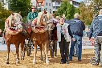 325 B CB 0547    © Daniela und Christian Bittner u.a.    Alle Inhalte auf diesen Webseiten sind urheberrechtlich geschützt. Kein Teil der hier abrufbaren Inhalte darf ohne ausdrückliche schriftliche Erlaubnis des Fotografen reproduziert, gedruckt, übersetzt, in digitaler Form weiterbearbeitet, in Archive übernommen oder Dritten unter einer fremden URL zugänglich gemacht werden.   Fotografen: AE .. A. Esdar, AH .. A. Helmle, CB .. Chr. Bittner, DB .. D. Bittner, LB .. L. Bittner, BB .. B. Boschatzke,   HZ .. H. Ziegelbauer, IM .. I. Maierhöfer, KH .. K. Hauber, LE .. L. Esdar, ME .. M. Esdar, MEr .. M. Erhard,   RM .. R. Maierhöfer, SD .. S. Demchuk, TS .. T. Spaag-Wagner, UL .. U. Ladenburger, JW .. J. Wecker, EB .. E. Boschatzke,   JA .. J. Abele, MW .. Maria Walter, MB .. Manuel Bühler, GG .. Georg Gösele, CBa .. Christoph Bayrle, KZW .. Kathrin Zwerger, PG .. Peter Gösele, CME .. Carmen Müller-Epacher, GB .. Gebhard Bühler, AL .. Alisha Ladenburger, SV .. Susanne Habel-Veit, LV .. Lukas Veit.