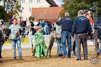 327 B CB 0557    © Daniela und Christian Bittner u.a.    Alle Inhalte auf diesen Webseiten sind urheberrechtlich geschützt. Kein Teil der hier abrufbaren Inhalte darf ohne ausdrückliche schriftliche Erlaubnis des Fotografen reproduziert, gedruckt, übersetzt, in digitaler Form weiterbearbeitet, in Archive übernommen oder Dritten unter einer fremden URL zugänglich gemacht werden.   Fotografen: AE .. A. Esdar, AH .. A. Helmle, CB .. Chr. Bittner, DB .. D. Bittner, LB .. L. Bittner, BB .. B. Boschatzke,   HZ .. H. Ziegelbauer, IM .. I. Maierhöfer, KH .. K. Hauber, LE .. L. Esdar, ME .. M. Esdar, MEr .. M. Erhard,   RM .. R. Maierhöfer, SD .. S. Demchuk, TS .. T. Spaag-Wagner, UL .. U. Ladenburger, JW .. J. Wecker, EB .. E. Boschatzke,   JA .. J. Abele, MW .. Maria Walter, MB .. Manuel Bühler, GG .. Georg Gösele, CBa .. Christoph Bayrle, KZW .. Kathrin Zwerger, PG .. Peter Gösele, CME .. Carmen Müller-Epacher, GB .. Gebhard Bühler, AL .. Alisha Ladenburger, SV .. Susanne Habel-Veit, LV .. Lukas Veit.