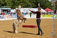 Janines Showponys