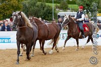 Schauteil RFV Rindelbach-Jagsttalhof