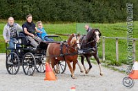028 A DB 0090    © Daniela und Christian Bittner u.a.    Alle Inhalte auf diesen Webseiten sind urheberrechtlich geschützt. Kein Teil der hier abrufbaren Inhalte darf ohne ausdrückliche schriftliche Erlaubnis des Fotografen reproduziert, gedruckt, übersetzt, in digitaler Form weiterbearbeitet, in Archive übernommen oder Dritten unter einer fremden URL zugänglich gemacht werden.   Fotografen: AE .. A. Esdar, AH .. A. Helmle, CB .. Chr. Bittner, DB .. D. Bittner, LB .. L. Bittner, BB .. B. Boschatzke,   HZ .. H. Ziegelbauer, IM .. I. Maierhöfer, KH .. K. Hauber, LE .. L. Esdar, ME .. M. Esdar, MEr .. M. Erhard,   RM .. R. Maierhöfer, SD .. S. Demchuk, TS .. T. Spaag-Wagner, UL .. U. Ladenburger, JW .. J. Wecker, EB .. E. Boschatzke,   JA .. J. Abele, MW .. Maria Walter, MB .. Manuel Bühler, GG .. Georg Gösele, CBa .. Christoph Bayrle, KZW .. Kathrin Zwerger, PG .. Peter Gösele, CME .. Carmen Müller-Epacher, GB .. Gebhard Bühler, AL .. Alisha Ladenburger, SV .. Susanne Habel-Veit.