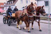 A RM 0033    © Daniela und Christian Bittner u.a.    Alle Inhalte auf diesen Webseiten sind urheberrechtlich geschützt. Kein Teil der hier abrufbaren Inhalte darf ohne ausdrückliche schriftliche Erlaubnis des Fotografen reproduziert, gedruckt, übersetzt, in digitaler Form weiterbearbeitet, in Archive übernommen oder Dritten unter einer fremden URL zugänglich gemacht werden.   Fotografen: AE .. A. Esdar, AH .. A. Helmle, CB .. Chr. Bittner, DB .. D. Bittner, LB .. L. Bittner, BB .. B. Boschatzke,   HZ .. H. Ziegelbauer, IM .. I. Maierhöfer, KH .. K. Hauber, LE .. L. Esdar, ME .. M. Esdar, MEr .. M. Erhard,   RM .. R. Maierhöfer, SD .. S. Demchuk, TS .. T. Spaag-Wagner, UL .. U. Ladenburger, JW .. J. Wecker, EB .. E. Boschatzke,   JA .. J. Abele, MW .. Maria Walter, MB .. Manuel Bühler, GG .. Georg Gösele, CBa .. Christoph Bayrle, KZW .. Kathrin Zwerger, PG .. Peter Gösele, CME .. Carmen Müller-Epacher, GB .. Gebhard Bühler, AL .. Alisha Ladenburger, SV .. Susanne Habel-Veit.