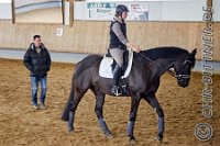 2018-03 Dressurtraining mit Holger Zeiske