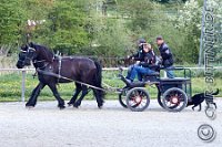 034 A DB 0083    © Daniela und Christian Bittner u.a.    Alle Inhalte auf diesen Webseiten sind urheberrechtlich geschützt. Kein Teil der hier abrufbaren Inhalte darf ohne ausdrückliche schriftliche Erlaubnis des Fotografen reproduziert, gedruckt, übersetzt, in digitaler Form weiterbearbeitet, in Archive übernommen oder Dritten unter einer fremden URL zugänglich gemacht werden.   Fotografen: AE .. A. Esdar, AH .. A. Helmle, CB .. Chr. Bittner, DB .. D. Bittner, LB .. L. Bittner, BB .. B. Boschatzke,   HZ .. H. Ziegelbauer, IM .. I. Maierhöfer, KH .. K. Hauber, LE .. L. Esdar, ME .. M. Esdar, MEr .. M. Erhard,   RM .. R. Maierhöfer, SD .. S. Demchuk, TS .. T. Spaag-Wagner, UL .. U. Ladenburger, JW .. J. Wecker, EB .. E. Boschatzke,   JA .. J. Abele, MW .. Maria Walter, MB .. Manuel Bühler, GG .. Georg Gösele, CBa .. Christoph Bayrle, KZW .. Kathrin Zwerger, PG .. Peter Gösele, CME .. Carmen Müller-Epacher, GB .. Gebhard Bühler, AL .. Alisha Ladenburger, SV .. Susanne Habel-Veit.
