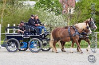 057 A DB 0177    © Daniela und Christian Bittner u.a.    Alle Inhalte auf diesen Webseiten sind urheberrechtlich geschützt. Kein Teil der hier abrufbaren Inhalte darf ohne ausdrückliche schriftliche Erlaubnis des Fotografen reproduziert, gedruckt, übersetzt, in digitaler Form weiterbearbeitet, in Archive übernommen oder Dritten unter einer fremden URL zugänglich gemacht werden.   Fotografen: AE .. A. Esdar, AH .. A. Helmle, CB .. Chr. Bittner, DB .. D. Bittner, LB .. L. Bittner, BB .. B. Boschatzke,   HZ .. H. Ziegelbauer, IM .. I. Maierhöfer, KH .. K. Hauber, LE .. L. Esdar, ME .. M. Esdar, MEr .. M. Erhard,   RM .. R. Maierhöfer, SD .. S. Demchuk, TS .. T. Spaag-Wagner, UL .. U. Ladenburger, JW .. J. Wecker, EB .. E. Boschatzke,   JA .. J. Abele, MW .. Maria Walter, MB .. Manuel Bühler, GG .. Georg Gösele, CBa .. Christoph Bayrle, KZW .. Kathrin Zwerger, PG .. Peter Gösele, CME .. Carmen Müller-Epacher, GB .. Gebhard Bühler, AL .. Alisha Ladenburger, SV .. Susanne Habel-Veit.