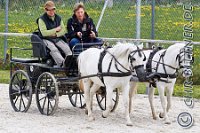 104 A DB 0449    © Daniela und Christian Bittner u.a.    Alle Inhalte auf diesen Webseiten sind urheberrechtlich geschützt. Kein Teil der hier abrufbaren Inhalte darf ohne ausdrückliche schriftliche Erlaubnis des Fotografen reproduziert, gedruckt, übersetzt, in digitaler Form weiterbearbeitet, in Archive übernommen oder Dritten unter einer fremden URL zugänglich gemacht werden.   Fotografen: AE .. A. Esdar, AH .. A. Helmle, CB .. Chr. Bittner, DB .. D. Bittner, LB .. L. Bittner, BB .. B. Boschatzke,   HZ .. H. Ziegelbauer, IM .. I. Maierhöfer, KH .. K. Hauber, LE .. L. Esdar, ME .. M. Esdar, MEr .. M. Erhard,   RM .. R. Maierhöfer, SD .. S. Demchuk, TS .. T. Spaag-Wagner, UL .. U. Ladenburger, JW .. J. Wecker, EB .. E. Boschatzke,   JA .. J. Abele, MW .. Maria Walter, MB .. Manuel Bühler, GG .. Georg Gösele, CBa .. Christoph Bayrle, KZW .. Kathrin Zwerger, PG .. Peter Gösele, CME .. Carmen Müller-Epacher, GB .. Gebhard Bühler, AL .. Alisha Ladenburger, SV .. Susanne Habel-Veit.