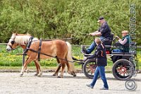 141 A DB 0621    © Daniela und Christian Bittner u.a.    Alle Inhalte auf diesen Webseiten sind urheberrechtlich geschützt. Kein Teil der hier abrufbaren Inhalte darf ohne ausdrückliche schriftliche Erlaubnis des Fotografen reproduziert, gedruckt, übersetzt, in digitaler Form weiterbearbeitet, in Archive übernommen oder Dritten unter einer fremden URL zugänglich gemacht werden.   Fotografen: AE .. A. Esdar, AH .. A. Helmle, CB .. Chr. Bittner, DB .. D. Bittner, LB .. L. Bittner, BB .. B. Boschatzke,   HZ .. H. Ziegelbauer, IM .. I. Maierhöfer, KH .. K. Hauber, LE .. L. Esdar, ME .. M. Esdar, MEr .. M. Erhard,   RM .. R. Maierhöfer, SD .. S. Demchuk, TS .. T. Spaag-Wagner, UL .. U. Ladenburger, JW .. J. Wecker, EB .. E. Boschatzke,   JA .. J. Abele, MW .. Maria Walter, MB .. Manuel Bühler, GG .. Georg Gösele, CBa .. Christoph Bayrle, KZW .. Kathrin Zwerger, PG .. Peter Gösele, CME .. Carmen Müller-Epacher, GB .. Gebhard Bühler, AL .. Alisha Ladenburger, SV .. Susanne Habel-Veit.