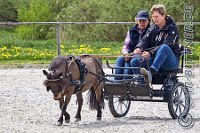 162 A DB 0772    © Daniela und Christian Bittner u.a.    Alle Inhalte auf diesen Webseiten sind urheberrechtlich geschützt. Kein Teil der hier abrufbaren Inhalte darf ohne ausdrückliche schriftliche Erlaubnis des Fotografen reproduziert, gedruckt, übersetzt, in digitaler Form weiterbearbeitet, in Archive übernommen oder Dritten unter einer fremden URL zugänglich gemacht werden.   Fotografen: AE .. A. Esdar, AH .. A. Helmle, CB .. Chr. Bittner, DB .. D. Bittner, LB .. L. Bittner, BB .. B. Boschatzke,   HZ .. H. Ziegelbauer, IM .. I. Maierhöfer, KH .. K. Hauber, LE .. L. Esdar, ME .. M. Esdar, MEr .. M. Erhard,   RM .. R. Maierhöfer, SD .. S. Demchuk, TS .. T. Spaag-Wagner, UL .. U. Ladenburger, JW .. J. Wecker, EB .. E. Boschatzke,   JA .. J. Abele, MW .. Maria Walter, MB .. Manuel Bühler, GG .. Georg Gösele, CBa .. Christoph Bayrle, KZW .. Kathrin Zwerger, PG .. Peter Gösele, CME .. Carmen Müller-Epacher, GB .. Gebhard Bühler, AL .. Alisha Ladenburger, SV .. Susanne Habel-Veit.