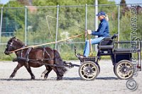 200 A CB 0023    © Daniela und Christian Bittner u.a.    Alle Inhalte auf diesen Webseiten sind urheberrechtlich geschützt. Kein Teil der hier abrufbaren Inhalte darf ohne ausdrückliche schriftliche Erlaubnis des Fotografen reproduziert, gedruckt, übersetzt, in digitaler Form weiterbearbeitet, in Archive übernommen oder Dritten unter einer fremden URL zugänglich gemacht werden.   Fotografen: AE .. A. Esdar, AH .. A. Helmle, CB .. Chr. Bittner, DB .. D. Bittner, LB .. L. Bittner, BB .. B. Boschatzke,   HZ .. H. Ziegelbauer, IM .. I. Maierhöfer, KH .. K. Hauber, LE .. L. Esdar, ME .. M. Esdar, MEr .. M. Erhard,   RM .. R. Maierhöfer, SD .. S. Demchuk, TS .. T. Spaag-Wagner, UL .. U. Ladenburger, JW .. J. Wecker, EB .. E. Boschatzke,   JA .. J. Abele, MW .. Maria Walter, MB .. Manuel Bühler, GG .. Georg Gösele, CBa .. Christoph Bayrle, KZW .. Kathrin Zwerger, PG .. Peter Gösele, CME .. Carmen Müller-Epacher, GB .. Gebhard Bühler, AL .. Alisha Ladenburger, SV .. Susanne Habel-Veit.
