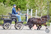 209 A CB 0069    © Daniela und Christian Bittner u.a.    Alle Inhalte auf diesen Webseiten sind urheberrechtlich geschützt. Kein Teil der hier abrufbaren Inhalte darf ohne ausdrückliche schriftliche Erlaubnis des Fotografen reproduziert, gedruckt, übersetzt, in digitaler Form weiterbearbeitet, in Archive übernommen oder Dritten unter einer fremden URL zugänglich gemacht werden.   Fotografen: AE .. A. Esdar, AH .. A. Helmle, CB .. Chr. Bittner, DB .. D. Bittner, LB .. L. Bittner, BB .. B. Boschatzke,   HZ .. H. Ziegelbauer, IM .. I. Maierhöfer, KH .. K. Hauber, LE .. L. Esdar, ME .. M. Esdar, MEr .. M. Erhard,   RM .. R. Maierhöfer, SD .. S. Demchuk, TS .. T. Spaag-Wagner, UL .. U. Ladenburger, JW .. J. Wecker, EB .. E. Boschatzke,   JA .. J. Abele, MW .. Maria Walter, MB .. Manuel Bühler, GG .. Georg Gösele, CBa .. Christoph Bayrle, KZW .. Kathrin Zwerger, PG .. Peter Gösele, CME .. Carmen Müller-Epacher, GB .. Gebhard Bühler, AL .. Alisha Ladenburger, SV .. Susanne Habel-Veit.