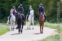 206 A CB 0250    © Daniela und Christian Bittner u.a.    Alle Inhalte auf diesen Webseiten sind urheberrechtlich geschützt. Kein Teil der hier abrufbaren Inhalte darf ohne ausdrückliche schriftliche Erlaubnis des Fotografen reproduziert, gedruckt, übersetzt, in digitaler Form weiterbearbeitet, in Archive übernommen oder Dritten unter einer fremden URL zugänglich gemacht werden.   Fotografen: AE .. A. Esdar, AH .. A. Helmle, CB .. Chr. Bittner, DB .. D. Bittner, LB .. L. Bittner, BB .. B. Boschatzke,   HZ .. H. Ziegelbauer, IM .. I. Maierhöfer, KH .. K. Hauber, LE .. L. Esdar, ME .. M. Esdar, MEr .. M. Erhard,   RM .. R. Maierhöfer, SD .. S. Demchuk, TS .. T. Spaag-Wagner, UL .. U. Ladenburger, JW .. J. Wecker, EB .. E. Boschatzke,   JA .. J. Abele, MW .. Maria Walter, MB .. Manuel Bühler, GG .. Georg Gösele, CBa .. Christoph Bayrle, KZW .. Kathrin Zwerger, PG .. Peter Gösele, CME .. Carmen Müller-Epacher, GB .. Gebhard Bühler, AL .. Alisha Ladenburger, SV .. Susanne Habel-Veit.