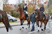 018 A DB 0066    © Daniela und Christian Bittner u.a.    Alle Inhalte auf diesen Webseiten sind urheberrechtlich geschützt. Kein Teil der hier abrufbaren Inhalte darf ohne ausdrückliche schriftliche Erlaubnis des Fotografen reproduziert, gedruckt, übersetzt, in digitaler Form weiterbearbeitet, in Archive übernommen oder Dritten unter einer fremden URL zugänglich gemacht werden.   Fotografen: AE .. A. Esdar, AH .. A. Helmle, CB .. Chr. Bittner, DB .. D. Bittner, LB .. L. Bittner, BB .. B. Boschatzke,   HZ .. H. Ziegelbauer, IM .. I. Maierhöfer, KH .. K. Hauber, LE .. L. Esdar, ME .. M. Esdar, MEr .. M. Erhard,   RM .. R. Maierhöfer, SD .. S. Demchuk, TS .. T. Spaag-Wagner, UL .. U. Ladenburger, JW .. J. Wecker, EB .. E. Boschatzke,   JA .. J. Abele, MW .. Maria Walter, MB .. Manuel Bühler, GG .. Georg Gösele, CBa .. Christoph Bayrle, KZW .. Kathrin Zwerger, PG .. Peter Gösele, CME .. Carmen Müller-Epacher, GB .. Gebhard Bühler, AL .. Alisha Ladenburger, SV .. Susanne Habel-Veit.
