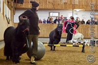 169 A CB 0427    © Daniela und Christian Bittner u.a.    Alle Inhalte auf diesen Webseiten sind urheberrechtlich geschützt. Kein Teil der hier abrufbaren Inhalte darf ohne ausdrückliche schriftliche Erlaubnis des Fotografen reproduziert, gedruckt, übersetzt, in digitaler Form weiterbearbeitet, in Archive übernommen oder Dritten unter einer fremden URL zugänglich gemacht werden.   Fotografen: AE .. A. Esdar, AH .. A. Helmle, CB .. Chr. Bittner, DB .. D. Bittner, LB .. L. Bittner, BB .. B. Boschatzke,   HZ .. H. Ziegelbauer, IM .. I. Maierhöfer, KH .. K. Hauber, LE .. L. Esdar, ME .. M. Esdar, MEr .. M. Erhard,   RM .. R. Maierhöfer, SD .. S. Demchuk, TS .. T. Spaag-Wagner, UL .. U. Ladenburger, JW .. J. Wecker, EB .. E. Boschatzke,   JA .. J. Abele, MW .. Maria Walter, MB .. Manuel Bühler, GG .. Georg Gösele, CBa .. Christoph Bayrle, KZW .. Kathrin Zwerger, PG .. Peter Gösele, CME .. Carmen Müller-Epacher, GB .. Gebhard Bühler, AL .. Alisha Ladenburger, SV .. Susanne Habel-Veit.