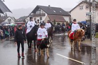028 A RM 0127    © Daniela und Christian Bittner u.a.    Alle Inhalte auf diesen Webseiten sind urheberrechtlich geschützt. Kein Teil der hier abrufbaren Inhalte darf ohne ausdrückliche schriftliche Erlaubnis des Fotografen reproduziert, gedruckt, übersetzt, in digitaler Form weiterbearbeitet, in Archive übernommen oder Dritten unter einer fremden URL zugänglich gemacht werden.   Fotografen: AE .. A. Esdar, AH .. A. Helmle, CB .. Chr. Bittner, DB .. D. Bittner, LB .. L. Bittner, BB .. B. Boschatzke,   HZ .. H. Ziegelbauer, IM .. I. Maierhöfer, KH .. K. Hauber, LE .. L. Esdar, ME .. M. Esdar, MEr .. M. Erhard,   RM .. R. Maierhöfer, SD .. S. Demchuk, TS .. T. Spaag-Wagner, UL .. U. Ladenburger, JW .. J. Wecker, EB .. E. Boschatzke,   JA .. J. Abele, MW .. Maria Walter, MB .. Manuel Bühler, GG .. Georg Gösele, CBa .. Christoph Bayrle, KZW .. Kathrin Zwerger, PG .. Peter Gösele, CME .. Carmen Müller-Epacher, GB .. Gebhard Bühler, AL .. Alisha Ladenburger, SV .. Susanne Habel-Veit.