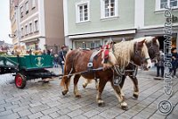 016 A DB 0013    © Daniela und Christian Bittner u.a.    Alle Inhalte auf diesen Webseiten sind urheberrechtlich geschützt. Kein Teil der hier abrufbaren Inhalte darf ohne ausdrückliche schriftliche Erlaubnis des Fotografen reproduziert, gedruckt, übersetzt, in digitaler Form weiterbearbeitet, in Archive übernommen oder Dritten unter einer fremden URL zugänglich gemacht werden.   Fotografen: AE .. A. Esdar, AH .. A. Helmle, CB .. Chr. Bittner, DB .. D. Bittner, LB .. L. Bittner, BB .. B. Boschatzke,   HZ .. H. Ziegelbauer, IM .. I. Maierhöfer, KH .. K. Hauber, LE .. L. Esdar, ME .. M. Esdar, MEr .. M. Erhard,   RM .. R. Maierhöfer, SD .. S. Demchuk, TS .. T. Spaag-Wagner, UL .. U. Ladenburger, JW .. J. Wecker, EB .. E. Boschatzke,   JA .. J. Abele, MW .. Maria Walter, MB .. Manuel Bühler, GG .. Georg Gösele, CBa .. Christoph Bayrle, KZW .. Kathrin Zwerger, PG .. Peter Gösele, CME .. Carmen Müller-Epacher, GB .. Gebhard Bühler, AL .. Alisha Ladenburger, SV .. Susanne Habel-Veit.