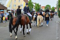 059 A RM 0211    © Daniela und Christian Bittner u.a.    Alle Inhalte auf diesen Webseiten sind urheberrechtlich geschützt. Kein Teil der hier abrufbaren Inhalte darf ohne ausdrückliche schriftliche Erlaubnis des Fotografen reproduziert, gedruckt, übersetzt, in digitaler Form weiterbearbeitet, in Archive übernommen oder Dritten unter einer fremden URL zugänglich gemacht werden.   Fotografen: AE .. A. Esdar, AH .. A. Helmle, CB .. Chr. Bittner, DB .. D. Bittner, LB .. L. Bittner, BB .. B. Boschatzke,   HZ .. H. Ziegelbauer, IM .. I. Maierhöfer, KH .. K. Hauber, LE .. L. Esdar, ME .. M. Esdar, MEr .. M. Erhard,   RM .. R. Maierhöfer, SD .. S. Demchuk, TS .. T. Spaag-Wagner, UL .. U. Ladenburger, JW .. J. Wecker, EB .. E. Boschatzke,   JA .. J. Abele, MW .. Maria Walter, MB .. Manuel Bühler, GG .. Georg Gösele, CBa .. Christoph Bayrle, KZW .. Kathrin Zwerger, PG .. Peter Gösele, CME .. Carmen Müller-Epacher, GB .. Gebhard Bühler, AL .. Alisha Ladenburger, SV .. Susanne Habel-Veit.