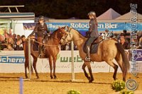 Working Equitation