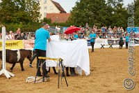 153 A CB 0435    © Daniela und Christian Bittner u.a.    Alle Inhalte auf diesen Webseiten sind urheberrechtlich geschützt. Kein Teil der hier abrufbaren Inhalte darf ohne ausdrückliche schriftliche Erlaubnis des Fotografen reproduziert, gedruckt, übersetzt, in digitaler Form weiterbearbeitet, in Archive übernommen oder Dritten unter einer fremden URL zugänglich gemacht werden.   Fotografen: AE .. A. Esdar, AH .. A. Helmle, CB .. Chr. Bittner, DB .. D. Bittner, LB .. L. Bittner, BB .. B. Boschatzke,   HZ .. H. Ziegelbauer, IM .. I. Maierhöfer, KH .. K. Hauber, LE .. L. Esdar, ME .. M. Esdar, MEr .. M. Erhard,   RM .. R. Maierhöfer, SD .. S. Demchuk, TS .. T. Spaag-Wagner, UL .. U. Ladenburger, JW .. J. Wecker, EB .. E. Boschatzke,   JA .. J. Abele, MW .. Maria Walter, MB .. Manuel Bühler, GG .. Georg Gösele, CBa .. Christoph Bayrle, KZW .. Kathrin Zwerger, PG .. Peter Gösele, CME .. Carmen Müller-Epacher, GB .. Gebhard Bühler, AL .. Alisha Ladenburger, SV .. Susanne Habel-Veit, LV .. Lukas Veit.