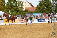 131 A CB 0358    © Daniela und Christian Bittner u.a.    Alle Inhalte auf diesen Webseiten sind urheberrechtlich geschützt. Kein Teil der hier abrufbaren Inhalte darf ohne ausdrückliche schriftliche Erlaubnis des Fotografen reproduziert, gedruckt, übersetzt, in digitaler Form weiterbearbeitet, in Archive übernommen oder Dritten unter einer fremden URL zugänglich gemacht werden.   Fotografen: AE .. A. Esdar, AH .. A. Helmle, CB .. Chr. Bittner, DB .. D. Bittner, LB .. L. Bittner, BB .. B. Boschatzke,   HZ .. H. Ziegelbauer, IM .. I. Maierhöfer, KH .. K. Hauber, LE .. L. Esdar, ME .. M. Esdar, MEr .. M. Erhard,   RM .. R. Maierhöfer, SD .. S. Demchuk, TS .. T. Spaag-Wagner, UL .. U. Ladenburger, JW .. J. Wecker, EB .. E. Boschatzke,   JA .. J. Abele, MW .. Maria Walter, MB .. Manuel Bühler, GG .. Georg Gösele, CBa .. Christoph Bayrle, KZW .. Kathrin Zwerger, PG .. Peter Gösele, CME .. Carmen Müller-Epacher, GB .. Gebhard Bühler, AL .. Alisha Ladenburger, SV .. Susanne Habel-Veit, LV .. Lukas Veit.