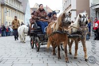 090 A CB 0247    © Daniela und Christian Bittner u.a.    Alle Inhalte auf diesen Webseiten sind urheberrechtlich geschützt. Kein Teil der hier abrufbaren Inhalte darf ohne ausdrückliche schriftliche Erlaubnis des Fotografen reproduziert, gedruckt, übersetzt, in digitaler Form weiterbearbeitet, in Archive übernommen oder Dritten unter einer fremden URL zugänglich gemacht werden.   Fotografen: AE .. A. Esdar, AH .. A. Helmle, CB .. Chr. Bittner, DB .. D. Bittner, LB .. L. Bittner, BB .. B. Boschatzke,   HZ .. H. Ziegelbauer, IM .. I. Maierhöfer, KH .. K. Hauber, LE .. L. Esdar, ME .. M. Esdar, MEr .. M. Erhard,   RM .. R. Maierhöfer, SD .. S. Demchuk, TS .. T. Spaag-Wagner, UL .. U. Ladenburger, JW .. J. Wecker, EB .. E. Boschatzke,   JA .. J. Abele, MW .. Maria Walter, MB .. Manuel Bühler, GG .. Georg Gösele, CBa .. Christoph Bayrle, KZW .. Kathrin Zwerger, PG .. Peter Gösele, CME .. Carmen Müller-Epacher, GB .. Gebhard Bühler, AL .. Alisha Ladenburger, SV .. Susanne Habel-Veit.
