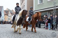 093 A CB 0268    © Daniela und Christian Bittner u.a.    Alle Inhalte auf diesen Webseiten sind urheberrechtlich geschützt. Kein Teil der hier abrufbaren Inhalte darf ohne ausdrückliche schriftliche Erlaubnis des Fotografen reproduziert, gedruckt, übersetzt, in digitaler Form weiterbearbeitet, in Archive übernommen oder Dritten unter einer fremden URL zugänglich gemacht werden.   Fotografen: AE .. A. Esdar, AH .. A. Helmle, CB .. Chr. Bittner, DB .. D. Bittner, LB .. L. Bittner, BB .. B. Boschatzke,   HZ .. H. Ziegelbauer, IM .. I. Maierhöfer, KH .. K. Hauber, LE .. L. Esdar, ME .. M. Esdar, MEr .. M. Erhard,   RM .. R. Maierhöfer, SD .. S. Demchuk, TS .. T. Spaag-Wagner, UL .. U. Ladenburger, JW .. J. Wecker, EB .. E. Boschatzke,   JA .. J. Abele, MW .. Maria Walter, MB .. Manuel Bühler, GG .. Georg Gösele, CBa .. Christoph Bayrle, KZW .. Kathrin Zwerger, PG .. Peter Gösele, CME .. Carmen Müller-Epacher, GB .. Gebhard Bühler, AL .. Alisha Ladenburger, SV .. Susanne Habel-Veit.