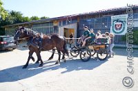 019 A DB 0061    © Daniela und Christian Bittner u.a.    Alle Inhalte auf diesen Webseiten sind urheberrechtlich geschützt. Kein Teil der hier abrufbaren Inhalte darf ohne ausdrückliche schriftliche Erlaubnis des Fotografen reproduziert, gedruckt, übersetzt, in digitaler Form weiterbearbeitet, in Archive übernommen oder Dritten unter einer fremden URL zugänglich gemacht werden.   Fotografen: AE .. A. Esdar, AH .. A. Helmle, CB .. Chr. Bittner, DB .. D. Bittner, LB .. L. Bittner, BB .. B. Boschatzke,   HZ .. H. Ziegelbauer, IM .. I. Maierhöfer, KH .. K. Hauber, LE .. L. Esdar, ME .. M. Esdar, MEr .. M. Erhard,   RM .. R. Maierhöfer, SD .. S. Demchuk, TS .. T. Spaag-Wagner, UL .. U. Ladenburger, JW .. J. Wecker, EB .. E. Boschatzke,   JA .. J. Abele, MW .. Maria Walter, MB .. Manuel Bühler, GG .. Georg Gösele, CBa .. Christoph Bayrle, KZW .. Kathrin Zwerger, PG .. Peter Gösele, CME .. Carmen Müller-Epacher, GB .. Gebhard Bühler, AL .. Alisha Ladenburger, SV .. Susanne Habel-Veit.