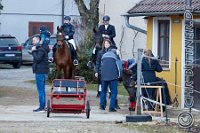 007 A DB 025    © Daniela und Christian Bittner u.a.    Alle Inhalte auf diesen Webseiten sind urheberrechtlich geschützt. Kein Teil der hier abrufbaren Inhalte darf ohne ausdrückliche schriftliche Erlaubnis des Fotografen reproduziert, gedruckt, übersetzt, in digitaler Form weiterbearbeitet, in Archive übernommen oder Dritten unter einer fremden URL zugänglich gemacht werden.   Fotografen: AE .. A. Esdar, AH .. A. Helmle, CB .. Chr. Bittner, DB .. D. Bittner, LB .. L. Bittner, BB .. B. Boschatzke,   HZ .. H. Ziegelbauer, IM .. I. Maierhöfer, KH .. K. Hauber, LE .. L. Esdar, ME .. M. Esdar, MEr .. M. Erhard,   RM .. R. Maierhöfer, SD .. S. Demchuk, TS .. T. Spaag-Wagner, UL .. U. Ladenburger, JW .. J. Wecker, EB .. E. Boschatzke,   JA .. J. Abele, MW .. Maria Walter, MB .. Manuel Bühler, GG .. Georg Gösele, CBa .. Christoph Bayrle, KZW .. Kathrin Zwerger, PG .. Peter Gösele, CME .. Carmen Müller-Epacher, GB .. Gebhard Bühler, AL .. Alisha Ladenburger, SV .. Susanne Habel-Veit, LV .. Lukas Veit.