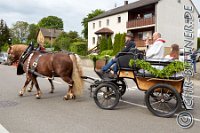 028 A DB 092    © Daniela und Christian Bittner u.a.    Alle Inhalte auf diesen Webseiten sind urheberrechtlich geschützt. Kein Teil der hier abrufbaren Inhalte darf ohne ausdrückliche schriftliche Erlaubnis des Fotografen reproduziert, gedruckt, übersetzt, in digitaler Form weiterbearbeitet, in Archive übernommen oder Dritten unter einer fremden URL zugänglich gemacht werden.   Fotografen: AE .. A. Esdar, AH .. A. Helmle, CB .. Chr. Bittner, DB .. D. Bittner, LB .. L. Bittner, BB .. B. Boschatzke,   HZ .. H. Ziegelbauer, IM .. I. Maierhöfer, KH .. K. Hauber, LE .. L. Esdar, ME .. M. Esdar, MEr .. M. Erhard,   RM .. R. Maierhöfer, SD .. S. Demchuk, TS .. T. Spaag-Wagner, UL .. U. Ladenburger, JW .. J. Wecker, EB .. E. Boschatzke,   JA .. J. Abele, MW .. Maria Walter, MB .. Manuel Bühler, GG .. Georg Gösele, CBa .. Christoph Bayrle, KZW .. Kathrin Zwerger, PG .. Peter Gösele, CME .. Carmen Müller-Epacher, GB .. Gebhard Bühler, AL .. Alisha Ladenburger, SV .. Susanne Habel-Veit.