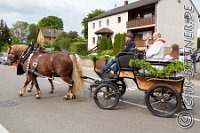 028 A DB 092    © Daniela und Christian Bittner u.a.    Alle Inhalte auf diesen Webseiten sind urheberrechtlich geschützt. Kein Teil der hier abrufbaren Inhalte darf ohne ausdrückliche schriftliche Erlaubnis des Fotografen reproduziert, gedruckt, übersetzt, in digitaler Form weiterbearbeitet, in Archive übernommen oder Dritten unter einer fremden URL zugänglich gemacht werden.   Fotografen: AE .. A. Esdar, AH .. A. Helmle, CB .. Chr. Bittner, DB .. D. Bittner, LB .. L. Bittner, BB .. B. Boschatzke,   HZ .. H. Ziegelbauer, IM .. I. Maierhöfer, KH .. K. Hauber, LE .. L. Esdar, ME .. M. Esdar, MEr .. M. Erhard,   RM .. R. Maierhöfer, SD .. S. Demchuk, TS .. T. Spaag-Wagner, UL .. U. Ladenburger, JW .. J. Wecker, EB .. E. Boschatzke,   JA .. J. Abele, MW .. Maria Walter, MB .. Manuel Bühler, GG .. Georg Gösele, CBa .. Christoph Bayrle.