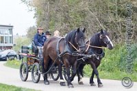 053 A DB 178    © Daniela und Christian Bittner u.a.    Alle Inhalte auf diesen Webseiten sind urheberrechtlich geschützt. Kein Teil der hier abrufbaren Inhalte darf ohne ausdrückliche schriftliche Erlaubnis des Fotografen reproduziert, gedruckt, übersetzt, in digitaler Form weiterbearbeitet, in Archive übernommen oder Dritten unter einer fremden URL zugänglich gemacht werden.   Fotografen: AE .. A. Esdar, AH .. A. Helmle, CB .. Chr. Bittner, DB .. D. Bittner, LB .. L. Bittner, BB .. B. Boschatzke,   HZ .. H. Ziegelbauer, IM .. I. Maierhöfer, KH .. K. Hauber, LE .. L. Esdar, ME .. M. Esdar, MEr .. M. Erhard,   RM .. R. Maierhöfer, SD .. S. Demchuk, TS .. T. Spaag-Wagner, UL .. U. Ladenburger, JW .. J. Wecker, EB .. E. Boschatzke,   JA .. J. Abele, MW .. Maria Walter, MB .. Manuel Bühler, GG .. Georg Gösele, CBa .. Christoph Bayrle, KZW .. Kathrin Zwerger, PG .. Peter Gösele, CME .. Carmen Müller-Epacher, GB .. Gebhard Bühler, AL .. Alisha Ladenburger, SV .. Susanne Habel-Veit, LV .. Lukas Veit.