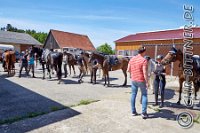 032 A DB 133    © Daniela und Christian Bittner u.a.    Alle Inhalte auf diesen Webseiten sind urheberrechtlich geschützt. Kein Teil der hier abrufbaren Inhalte darf ohne ausdrückliche schriftliche Erlaubnis des Fotografen reproduziert, gedruckt, übersetzt, in digitaler Form weiterbearbeitet, in Archive übernommen oder Dritten unter einer fremden URL zugänglich gemacht werden.   Fotografen: AE .. A. Esdar, AH .. A. Helmle, CB .. Chr. Bittner, DB .. D. Bittner, LB .. L. Bittner, BB .. B. Boschatzke,   HZ .. H. Ziegelbauer, IM .. I. Maierhöfer, KH .. K. Hauber, LE .. L. Esdar, ME .. M. Esdar, MEr .. M. Erhard,   RM .. R. Maierhöfer, SD .. S. Demchuk, TS .. T. Spaag-Wagner, UL .. U. Ladenburger, JW .. J. Wecker, EB .. E. Boschatzke,   JA .. J. Abele, MW .. Maria Walter, MB .. Manuel Bühler, GG .. Georg Gösele, CBa .. Christoph Bayrle, KZW .. Kathrin Zwerger, PG .. Peter Gösele, CME .. Carmen Müller-Epacher, GB .. Gebhard Bühler, AL .. Alisha Ladenburger, SV .. Susanne Habel-Veit.