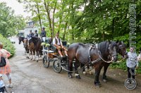 011 A CB 030    © Daniela und Christian Bittner u.a.    Alle Inhalte auf diesen Webseiten sind urheberrechtlich geschützt. Kein Teil der hier abrufbaren Inhalte darf ohne ausdrückliche schriftliche Erlaubnis des Fotografen reproduziert, gedruckt, übersetzt, in digitaler Form weiterbearbeitet, in Archive übernommen oder Dritten unter einer fremden URL zugänglich gemacht werden.   Fotografen: AE .. A. Esdar, AH .. A. Helmle, CB .. Chr. Bittner, DB .. D. Bittner, LB .. L. Bittner, BB .. B. Boschatzke,   HZ .. H. Ziegelbauer, IM .. I. Maierhöfer, KH .. K. Hauber, LE .. L. Esdar, ME .. M. Esdar, MEr .. M. Erhard,   RM .. R. Maierhöfer, SD .. S. Demchuk, TS .. T. Spaag-Wagner, UL .. U. Ladenburger, JW .. J. Wecker, EB .. E. Boschatzke,   JA .. J. Abele, MW .. Maria Walter, MB .. Manuel Bühler, GG .. Georg Gösele, CBa .. Christoph Bayrle, KZW .. Kathrin Zwerger, PG .. Peter Gösele, CME .. Carmen Müller-Epacher, GB .. Gebhard Bühler, AL .. Alisha Ladenburger, SV .. Susanne Habel-Veit, LV .. Lukas Veit.