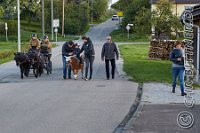 030 A CB 0062    © Daniela und Christian Bittner u.a.    Alle Inhalte auf diesen Webseiten sind urheberrechtlich geschützt. Kein Teil der hier abrufbaren Inhalte darf ohne ausdrückliche schriftliche Erlaubnis des Fotografen reproduziert, gedruckt, übersetzt, in digitaler Form weiterbearbeitet, in Archive übernommen oder Dritten unter einer fremden URL zugänglich gemacht werden.   Fotografen: AE .. A. Esdar, AH .. A. Helmle, CB .. Chr. Bittner, DB .. D. Bittner, LB .. L. Bittner, BB .. B. Boschatzke,   HZ .. H. Ziegelbauer, IM .. I. Maierhöfer, KH .. K. Hauber, LE .. L. Esdar, ME .. M. Esdar, MEr .. M. Erhard,   RM .. R. Maierhöfer, SD .. S. Demchuk, TS .. T. Spaag-Wagner, UL .. U. Ladenburger, JW .. J. Wecker, EB .. E. Boschatzke,   JA .. J. Abele, MW .. Maria Walter, MB .. Manuel Bühler, GG .. Georg Gösele, CBa .. Christoph Bayrle, KZW .. Kathrin Zwerger, PG .. Peter Gösele, CME .. Carmen Müller-Epacher, GB .. Gebhard Bühler, AL .. Alisha Ladenburger, SV .. Susanne Habel-Veit, LV .. Lukas Veit.