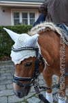079 A CB 0218    © Daniela und Christian Bittner u.a.    Alle Inhalte auf diesen Webseiten sind urheberrechtlich geschützt. Kein Teil der hier abrufbaren Inhalte darf ohne ausdrückliche schriftliche Erlaubnis des Fotografen reproduziert, gedruckt, übersetzt, in digitaler Form weiterbearbeitet, in Archive übernommen oder Dritten unter einer fremden URL zugänglich gemacht werden.   Fotografen: AE .. A. Esdar, AH .. A. Helmle, CB .. Chr. Bittner, DB .. D. Bittner, LB .. L. Bittner, BB .. B. Boschatzke,   HZ .. H. Ziegelbauer, IM .. I. Maierhöfer, KH .. K. Hauber, LE .. L. Esdar, ME .. M. Esdar, MEr .. M. Erhard,   RM .. R. Maierhöfer, SD .. S. Demchuk, TS .. T. Spaag-Wagner, UL .. U. Ladenburger, JW .. J. Wecker, EB .. E. Boschatzke,   JA .. J. Abele, MW .. Maria Walter, MB .. Manuel Bühler, GG .. Georg Gösele, CBa .. Christoph Bayrle, KZW .. Kathrin Zwerger, PG .. Peter Gösele, CME .. Carmen Müller-Epacher, GB .. Gebhard Bühler, AL .. Alisha Ladenburger, SV .. Susanne Habel-Veit, LV .. Lukas Veit.
