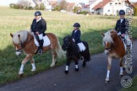 157 A CB 0287    © Daniela und Christian Bittner u.a.    Alle Inhalte auf diesen Webseiten sind urheberrechtlich geschützt. Kein Teil der hier abrufbaren Inhalte darf ohne ausdrückliche schriftliche Erlaubnis des Fotografen reproduziert, gedruckt, übersetzt, in digitaler Form weiterbearbeitet, in Archive übernommen oder Dritten unter einer fremden URL zugänglich gemacht werden.   Fotografen: AE .. A. Esdar, AH .. A. Helmle, CB .. Chr. Bittner, DB .. D. Bittner, LB .. L. Bittner, BB .. B. Boschatzke,   HZ .. H. Ziegelbauer, IM .. I. Maierhöfer, KH .. K. Hauber, LE .. L. Esdar, ME .. M. Esdar, MEr .. M. Erhard,   RM .. R. Maierhöfer, SD .. S. Demchuk, TS .. T. Spaag-Wagner, UL .. U. Ladenburger, JW .. J. Wecker, EB .. E. Boschatzke,   JA .. J. Abele, MW .. Maria Walter, MB .. Manuel Bühler, GG .. Georg Gösele, CBa .. Christoph Bayrle, KZW .. Kathrin Zwerger, PG .. Peter Gösele, CME .. Carmen Müller-Epacher, GB .. Gebhard Bühler, AL .. Alisha Ladenburger, SV .. Susanne Habel-Veit.