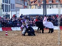 A IM 0006    © Daniela und Christian Bittner u.a.    Alle Inhalte auf diesen Webseiten sind urheberrechtlich geschützt. Kein Teil der hier abrufbaren Inhalte darf ohne ausdrückliche schriftliche Erlaubnis des Fotografen reproduziert, gedruckt, übersetzt, in digitaler Form weiterbearbeitet, in Archive übernommen oder Dritten unter einer fremden URL zugänglich gemacht werden.   Fotografen: AE .. A. Esdar, AH .. A. Helmle, CB .. Chr. Bittner, DB .. D. Bittner, LB .. L. Bittner, BB .. B. Boschatzke,   HZ .. H. Ziegelbauer, IM .. I. Maierhöfer, KH .. K. Hauber, LE .. L. Esdar, ME .. M. Esdar, MEr .. M. Erhard,   RM .. R. Maierhöfer, SD .. S. Demchuk, TS .. T. Spaag-Wagner, UL .. U. Ladenburger, JW .. J. Wecker, EB .. E. Boschatzke,   JA .. J. Abele, MW .. Maria Walter, MB .. Manuel Bühler, GG .. Georg Gösele, CBa .. Christoph Bayrle, KZW .. Kathrin Zwerger, PG .. Peter Gösele, CME .. Carmen Müller-Epacher, GB .. Gebhard Bühler, AL .. Alisha Ladenburger, SV .. Susanne Habel-Veit.